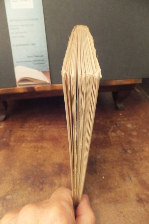 LE MIE POESIE ERNST WIECHERT