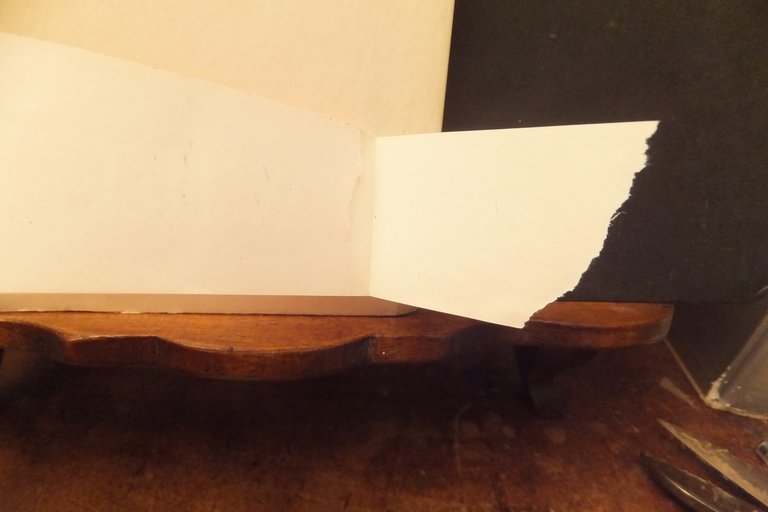 LE MIE POESIE ERNST WIECHERT