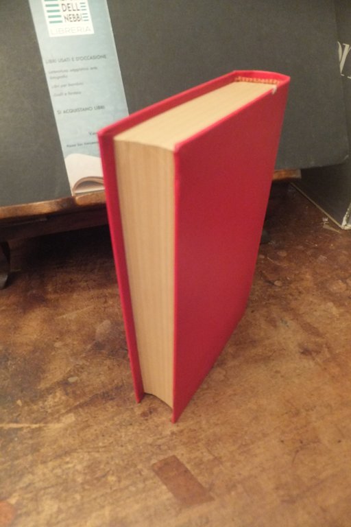 LE MONT CERVIN GUIDO REY | Immagine Gallery 4