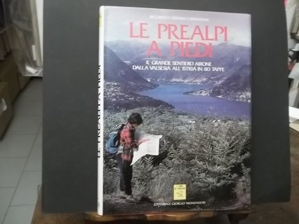 LE PREALPI A PIEDI IL GRANDE SENTIERO AIRONE DALLA VALSESIA … | Immagine principale