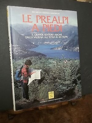 LE PREALPI A PIEDI IL GRANDE SENTIERO AIRONE DELLA VALSESIA …
