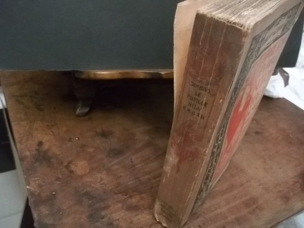 LE PUPILLE NELL'OMBRA NOVELLE DI SIMBAD