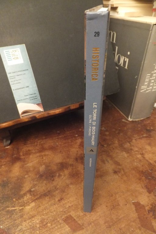 LE TORRI DI BOIS-MAURY OLTRE I PIRENEI HERMANN | Immagine Gallery 4