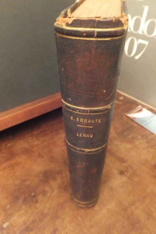 LENAU STORIA DI UN MARTIRE DELLA POESIA VINCENZO ERRANTE
