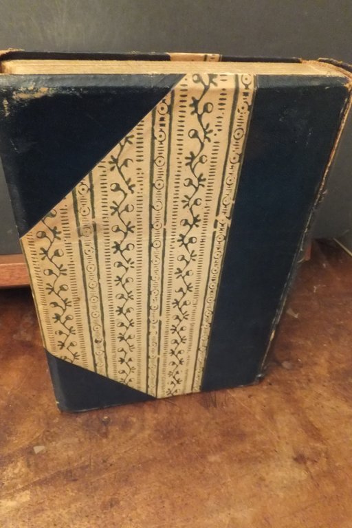 LENAU STORIA DI UN MARTIRE DELLA POESIA VINCENZO ERRANTE