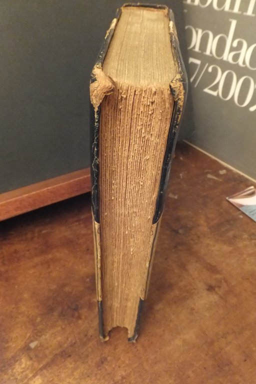 LENAU STORIA DI UN MARTIRE DELLA POESIA VINCENZO ERRANTE