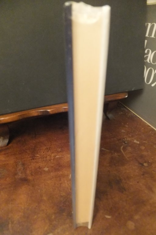 MAESTRE D'AMORE NADIA FUSINI