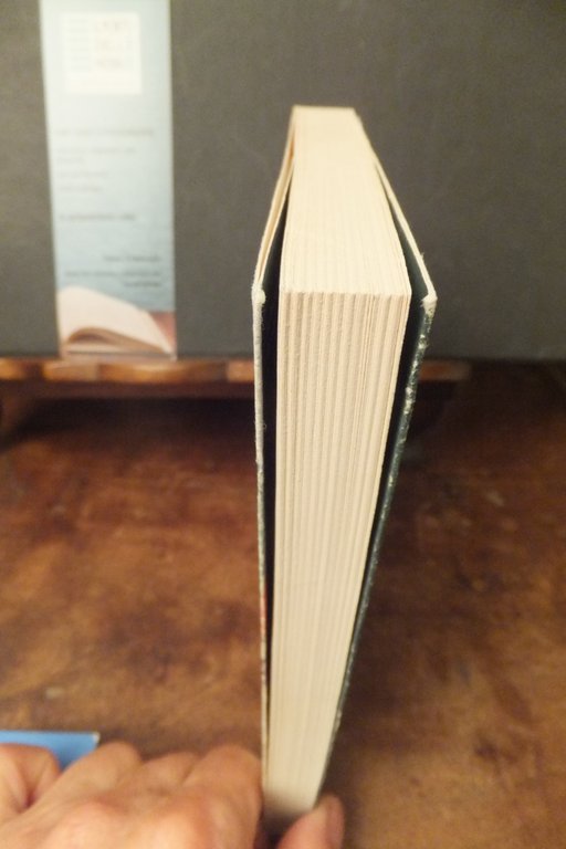 MANUALE DI EQUITAZIONE THE BRITISH HORSE SOCIETY | Immagine Gallery 4