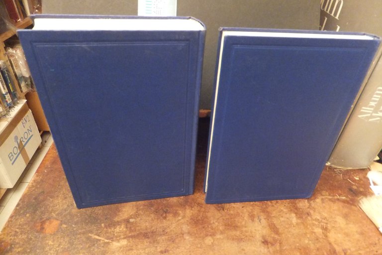 MANUALE DI MICOLOGIA MEDICA R. CIFERRI