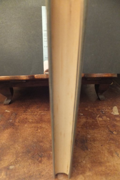 MILLE TRADIMENTI UGO PIRRO