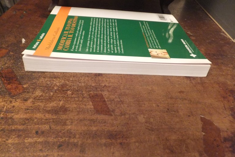 MODIFICA IL TUO DNA CAMBIA IL TUO DESTINO MADDALENA GALLIANI