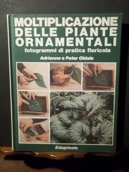 Moltiplicazione delle piante ornamentali. Fotogrammi di pratica floricola. Oldale. Edagricole …