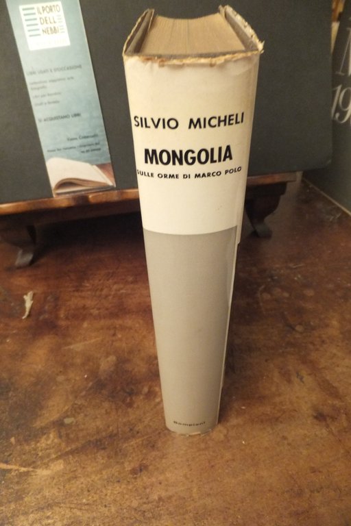 MONGOLIA SELLE ORME DI MARCO POLO SILVIO MICHELI | Immagine Gallery 4