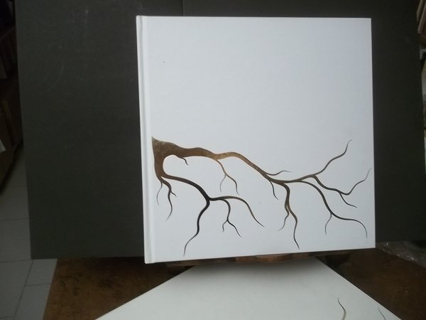 MONOGRAFIA TREVI TREVI MONOGRAPHY 50