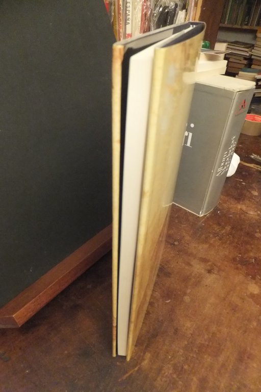 MONZA DALLE ORIGINI ALLA DOMINAZIONE SPAGNOLA 1535