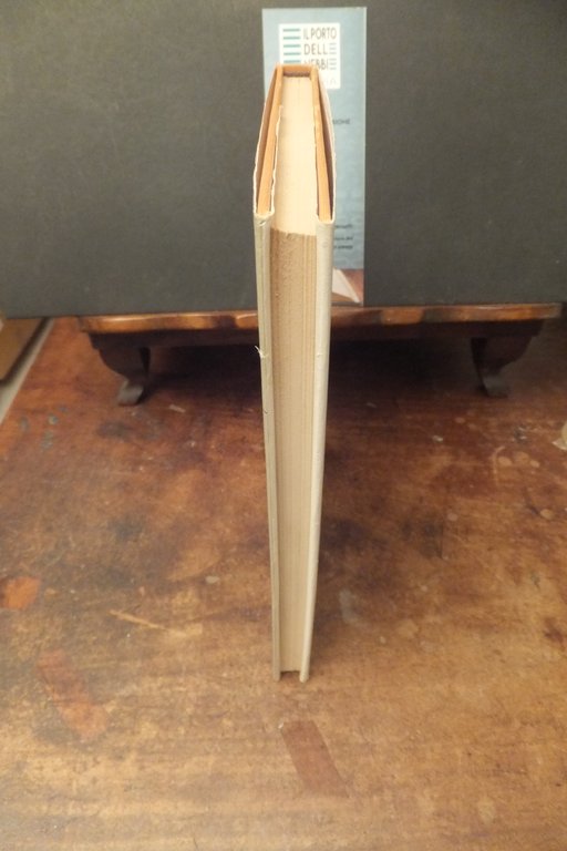 MORTE SEGRETA DARIO BELLEZZA