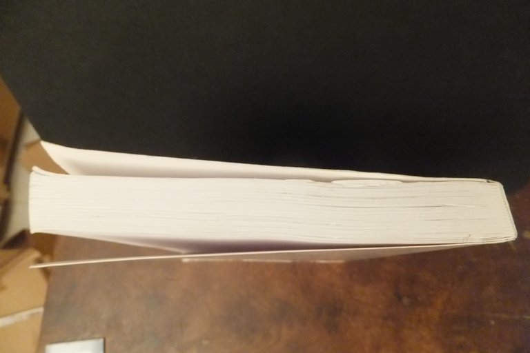 MUSICA E FAMIGLIA L'AVVENTURA ARTISTICA DI RENATA ZATTI LAURA ZATTRA