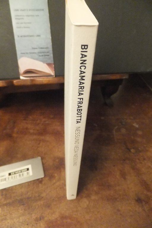 NESSUNO VEDA NESSUNO BIANCAMARIA FRABOTTA