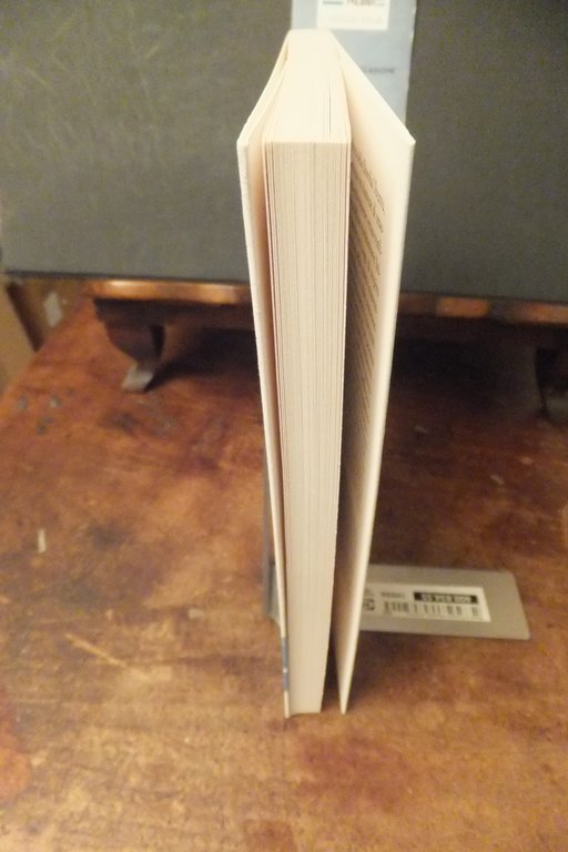 NESSUNO VEDA NESSUNO BIANCAMARIA FRABOTTA