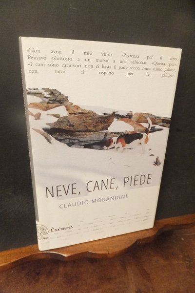 NEVE CANE PIEDE