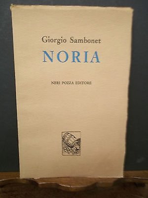 NORIA POESIA VOLUME VENTUNESIMO