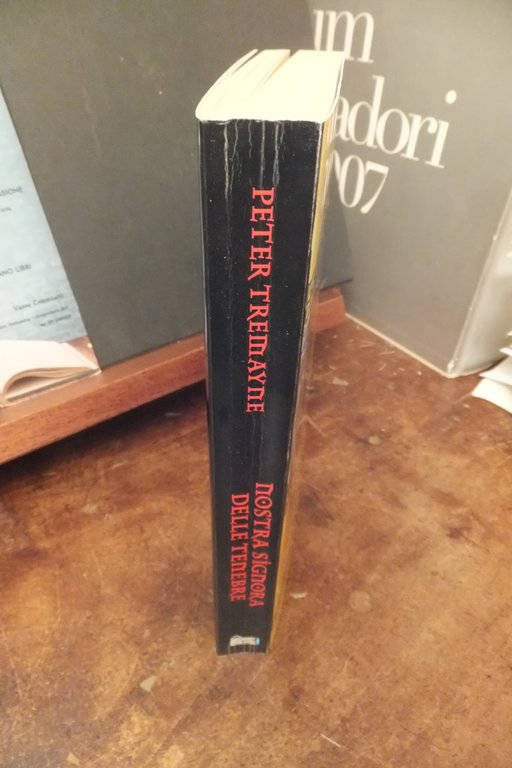 NOSTRA SIGNORA DELLE TENEBRE LA QUINTA INCHIESTA DI SORELLA FIDELMA …