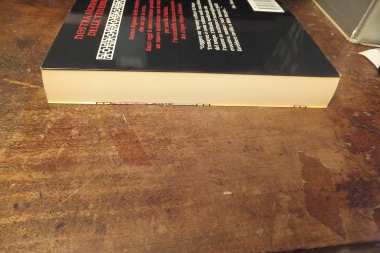 NOSTRA SIGNORA DELLE TENEBRE LA QUINTA INCHIESTA DI SORELLA FIDELMA …