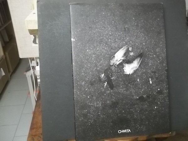 NYC NEW YORK REVISITED