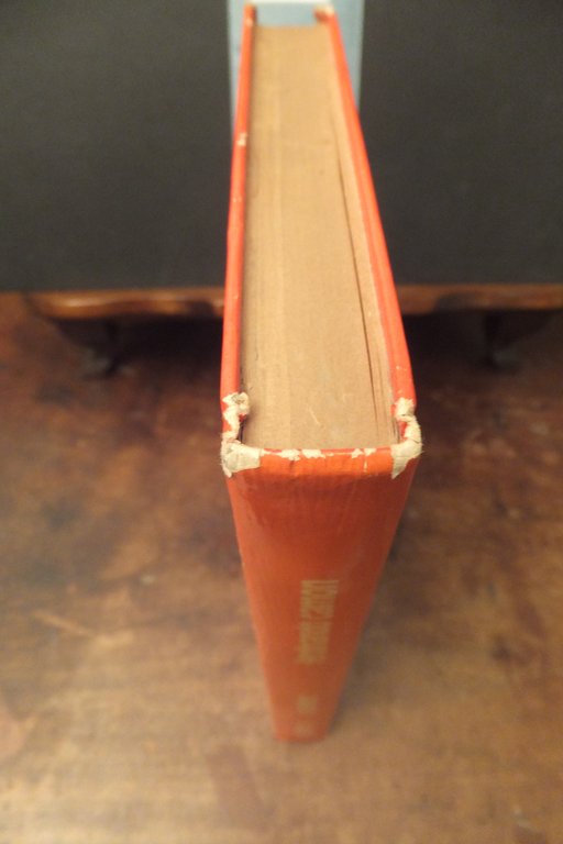 OCCIDENTE FERDINANDO CAMON