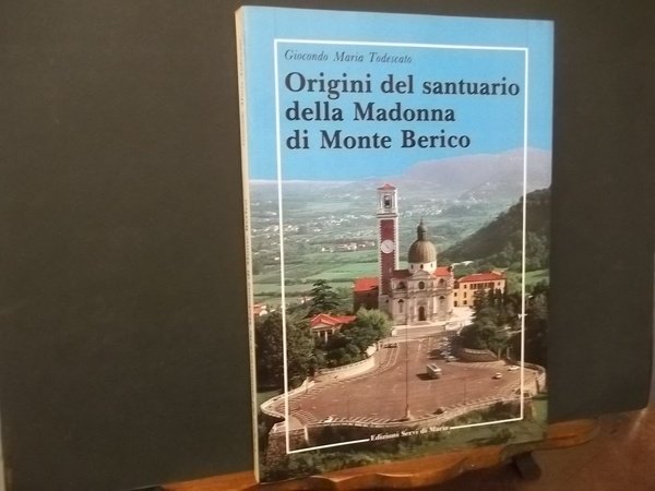 ORIGINI DEL SANTUARIO DELLA MADONNA DI MONTE BERICO