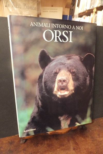 ORSI ANIMALI INTORNO A NOI