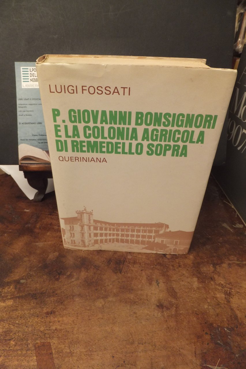 P. GIOVANNI BONSIGNORI E LA COLONNA AGRICOLA DI REMEDELLO SOPRA … | Immagine principale