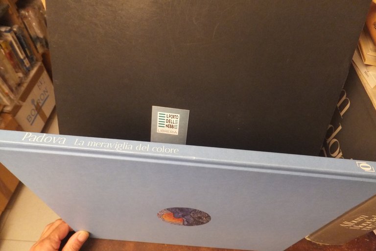 PADOVA LA MERAVIGLIA DEL COLORE GRANDI MOSTRE 2020 -2022 | Immagine Gallery 3