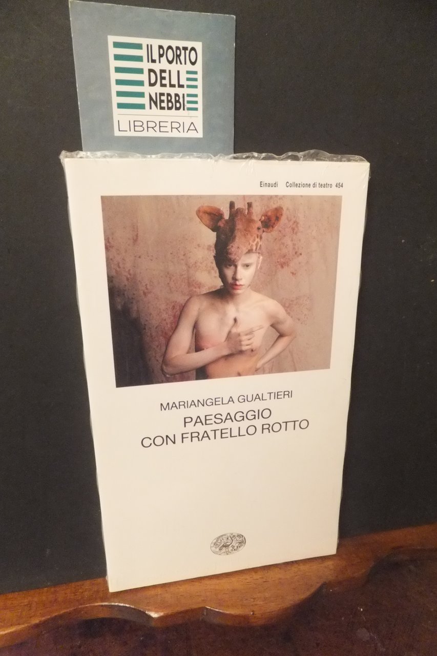 PAESAGGIO CON FRATELLO ROTTO MARIANGELA GUALTIERI