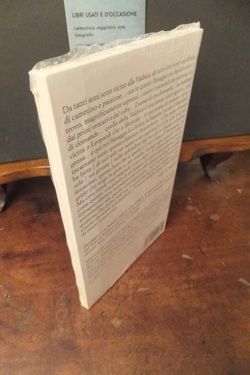 PAESAGGIO CON FRATELLO ROTTO MARIANGELA GUALTIERI