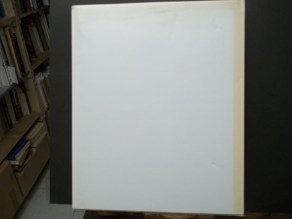 PALAZZO VALPERGA GALLEANI DI BARBARESCO A TORINO EDITRIS 1989