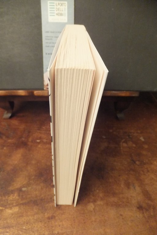 PALESTINA E ISRAELE CHE FARE? N. CHOMSKY I. PAPPE