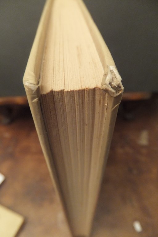 PAO PAO PIER VITTORIO TONDELLI