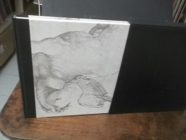 PEGASO L'ARTE DELLA LEGGENDA