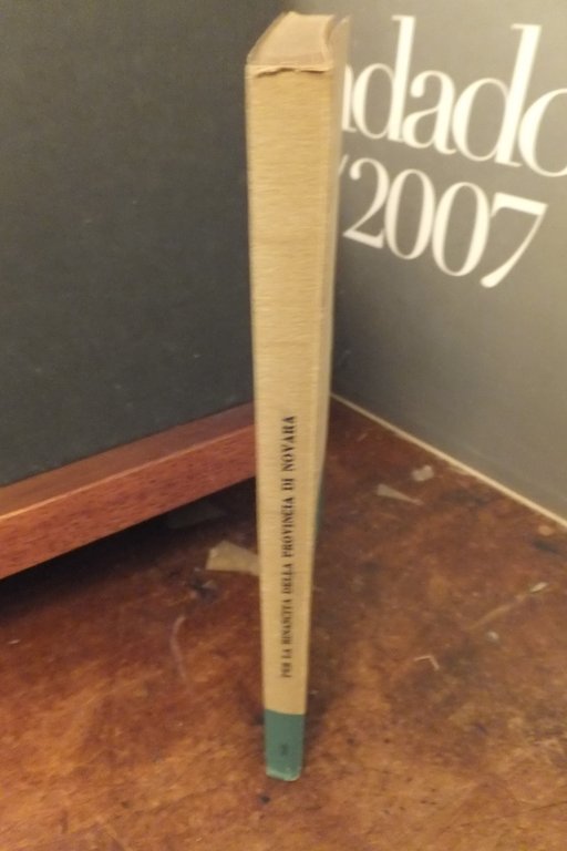 PER LA RINASCITA DELLA PROVINCIA DI NOVARA