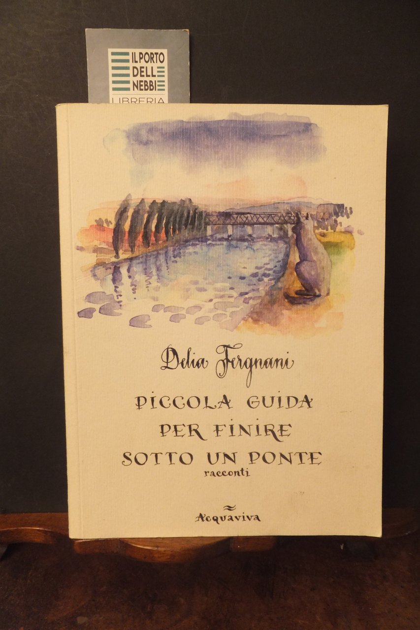 PICCOLA GUIDA PER FINIRE SOTTO UN PONTE RACCONTI DELIA FERGNANI