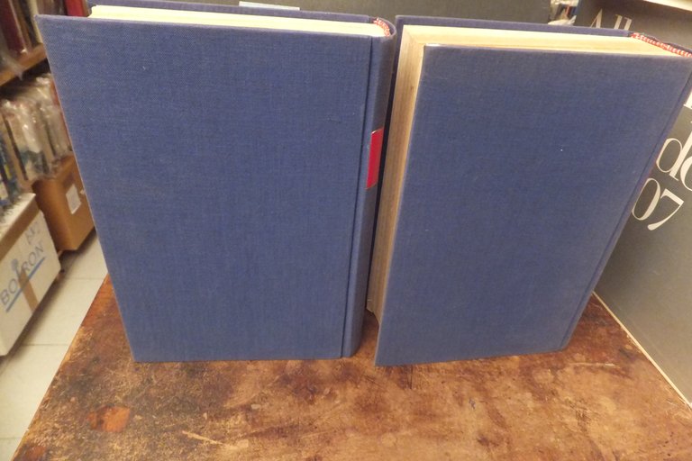 PICCOLA MAMMA M. D'ANCONA FASCICOLI RILEGATI IN 2 VOLUMI - …