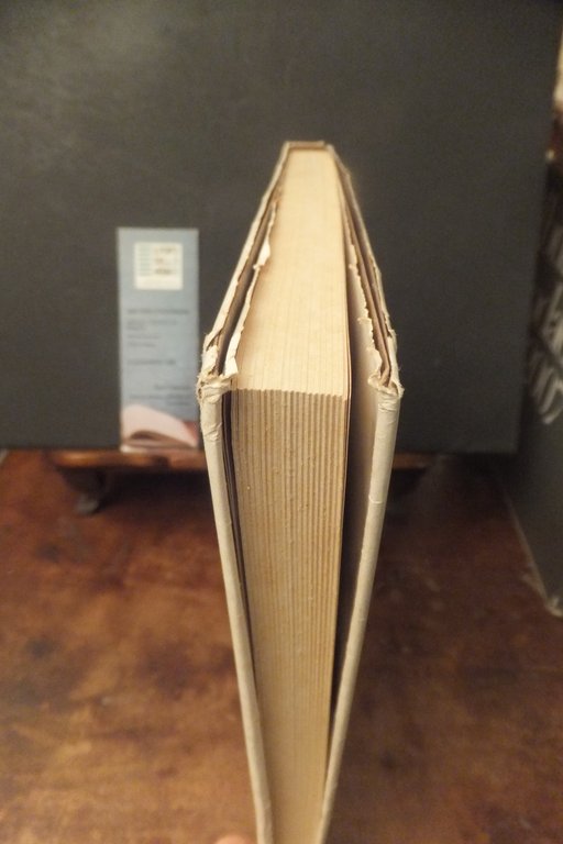 PRIMI RISULTATI DI UNA BONIFICA IN BRUGHIERA FEDERICO CAPRONI