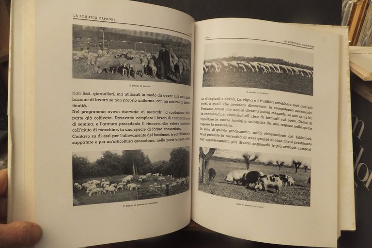 PRIMI RISULTATI DI UNA BONIFICA IN BRUGHIERA FEDERICO CAPRONI