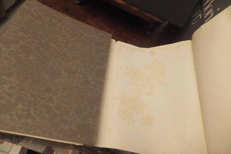 PRIMI RISULTATI DI UNA BONIFICA IN BRUGHIERA FEDERICO CAPRONI