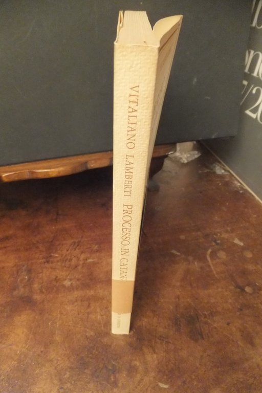 PROCESSO IN CATANZARO VITALIANO LAMBERTI