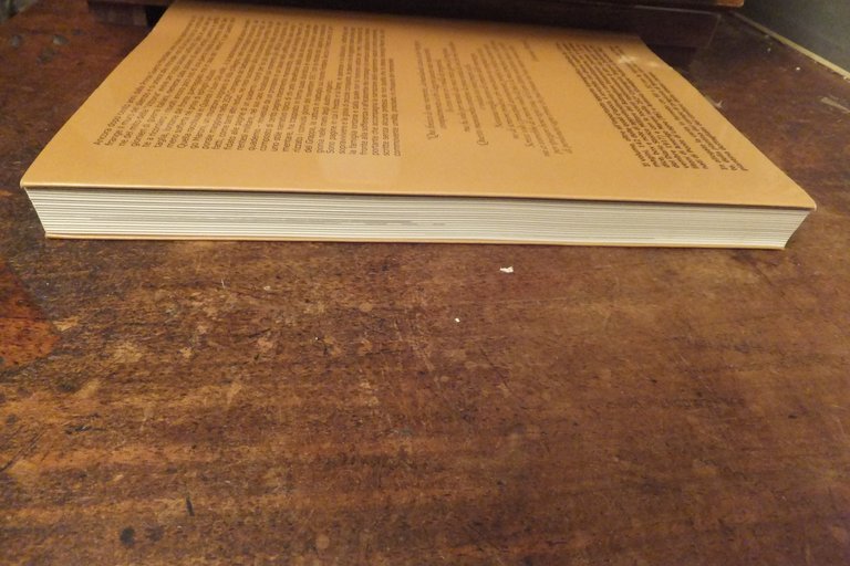 QUANDO IL BUON DIO VOLLE... 1917 -1918 AMERIGO MARONI