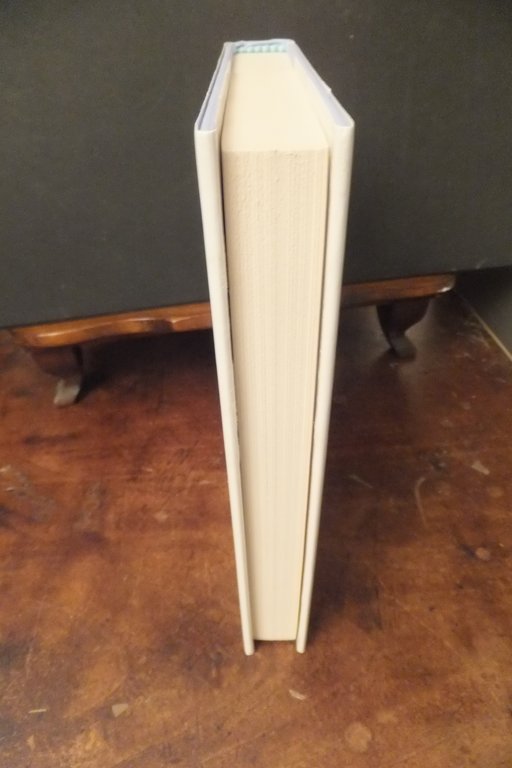 QUESTA TERRA E' LA NOSTRA TERRA SUKETU MEHTA