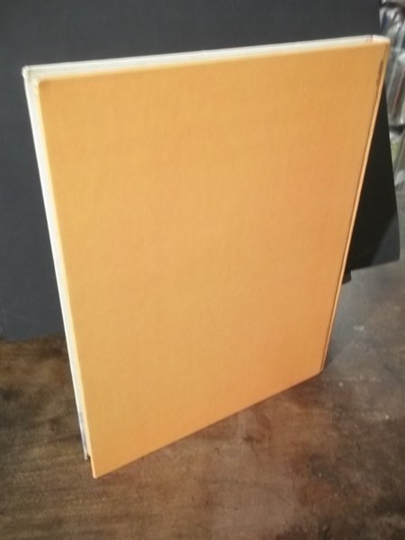 RAPERONZOLO LE PIU' BELLE FIABE DEI FRATELLI GRIMM