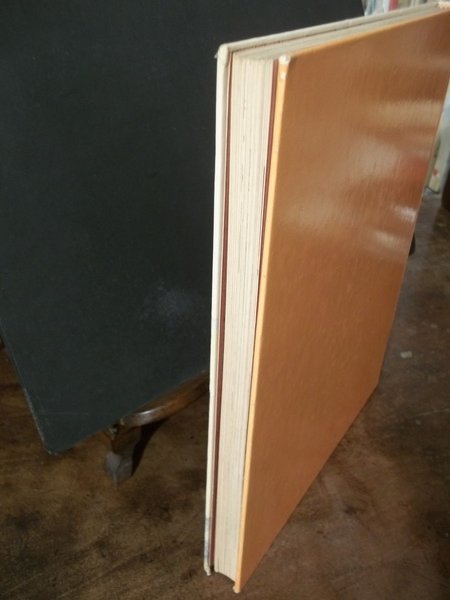 RAPERONZOLO LE PIU' BELLE FIABE DEI FRATELLI GRIMM